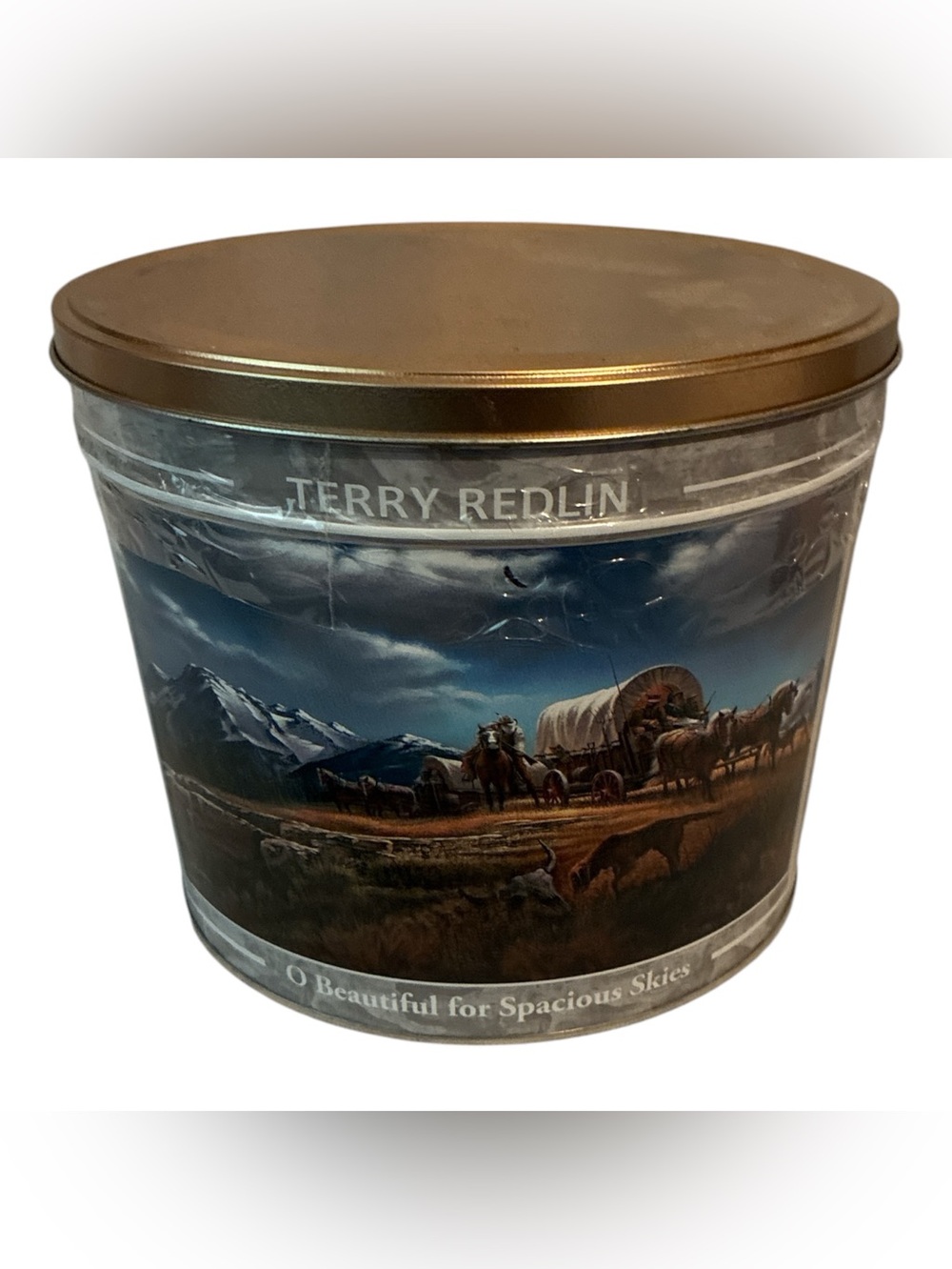 Terry Redlin Collectible Tin 'O Beautiful for Spacious Skies' Western Scene